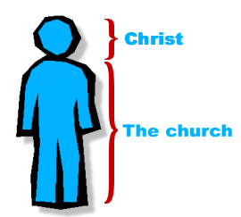 Illustration of a body with labels showing the head as Christ and the body as the church