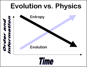 Diagram: Evolution vs. Physics